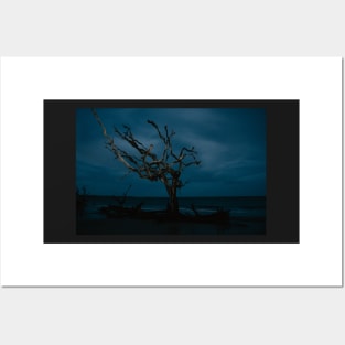 Bluehour Driftwood Beach on Jekyll Island Posters and Art